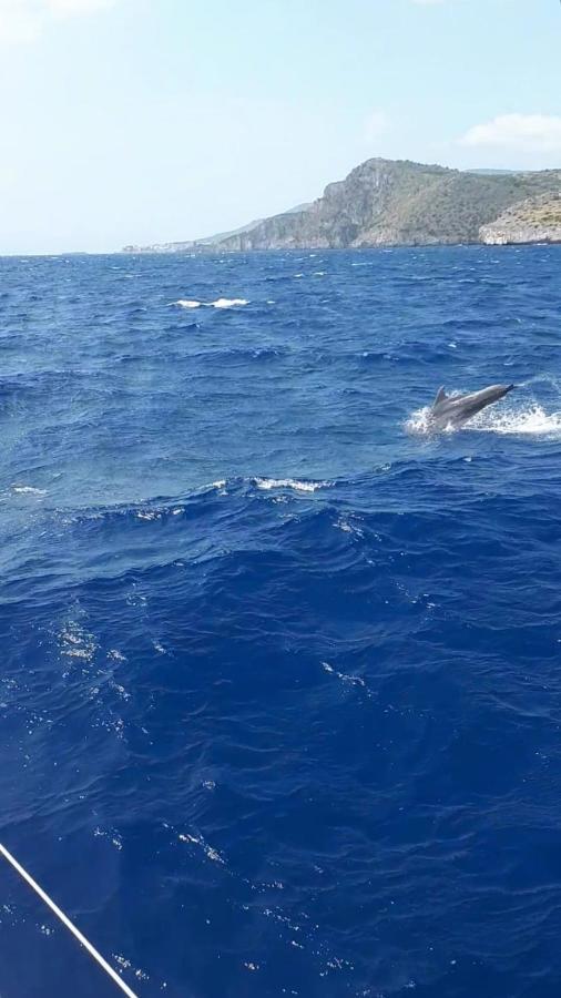 B&B L'Ulivo Marina di Camerota Bagian luar foto